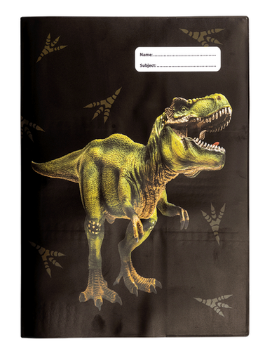 *A4 BOOK COVER - DINOSAURS 2
