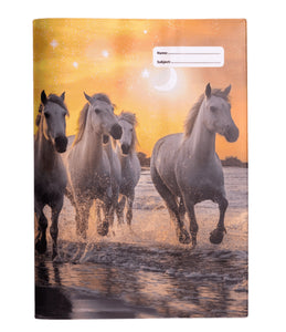 *A4 BOOK COVER - COSMIC CANTER 1