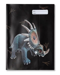 * A4 BOOK COVER - DINOSAURS 3
