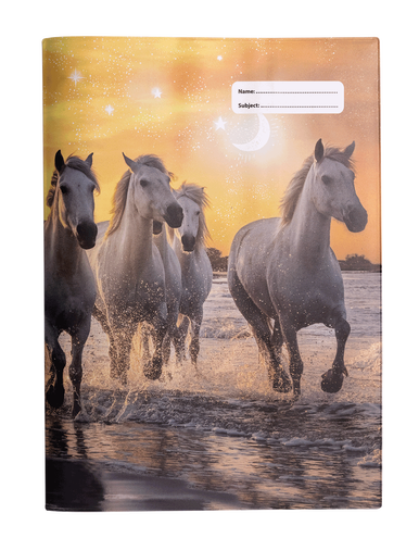 *A4 BOOK COVER - COSMIC CANTER 1